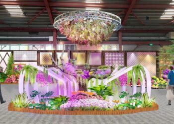 台首選走春親子賞花活動　「2025花在彰化」大年初一盛大登場