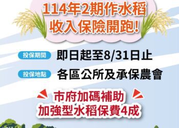二期水稻收入保險開放投保　中市農業局另加碼補助