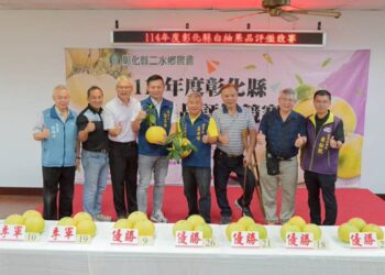 影音/展現在地優質農產競爭力 二水白柚評鑑登場　