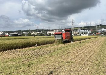 中市農業局推「稻草剪段防止焚燒稻草計畫」-一期作7/31前受理補助