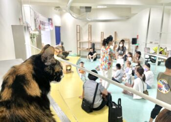 透過旋律閱讀！中市動保處攜手「小吉他繪本屋」宣導動物生命教育