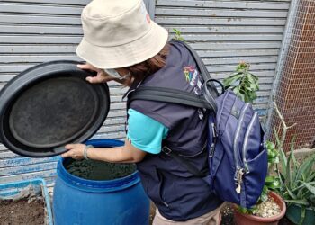 加強「巡、倒、清、刷」！- 中市衛生局籲民眾共同防治登革熱- 