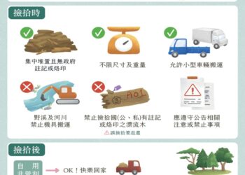 鳳凰颱風陸警發布 濁水溪流域流木自由撿拾公告已失效