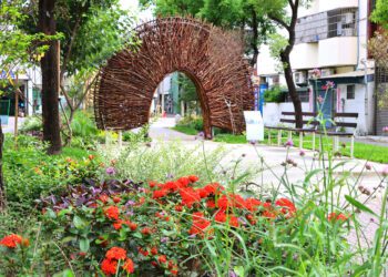 打造城市中的花園廊帶！-大里長榮園道「花之道」綻放浪漫自然花境