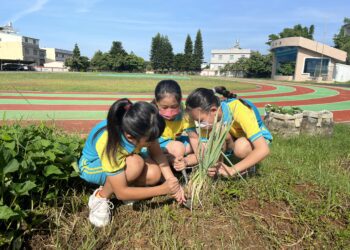 推動永續淨零創佳績！-中市教育局獲第四屆tsaa台灣永續行動金銀獎