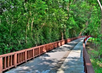 屢受肯定！-中市水利局獲「2024年apsaa亞太暨台灣永續行動獎」雙銀獎