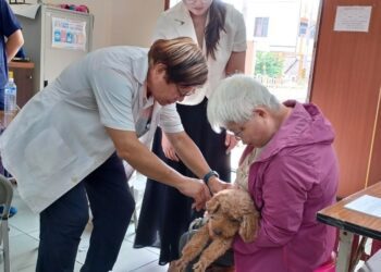 梨山專案響應928世界狂犬病日-中市9-10月犬貓巡迴注射活動開跑