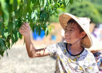 打造偏鄉兒童的夢想基地！　中市太平光隆社區兒少據點揭牌　　