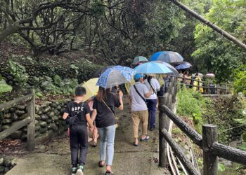 中市農業局推廣柿季體驗活動 -邀民眾享受恬適農村氛圍