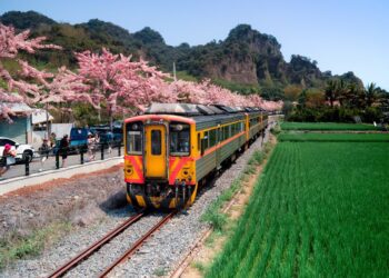 過年走春遊好康報你知　谷關泡湯賞勝景八卦山自行車騎遊、松柏嶺品茗