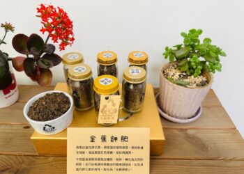 助植物茁壯成長 中市清潔隊巧手將香蕉皮變「金蕉鉀肥」