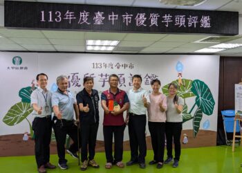 台中優質芋頭評鑑-大安區芋農黃至青奪冠！