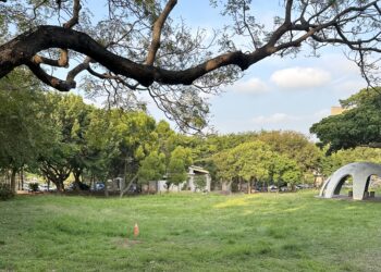 台中市民野餐日11/3盛大登場-中市環保局：鼓勵搭乘大眾交通工具