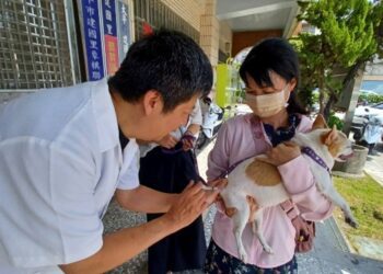 抓住今年的尾巴！中市犬貓巡迴注射活動登場