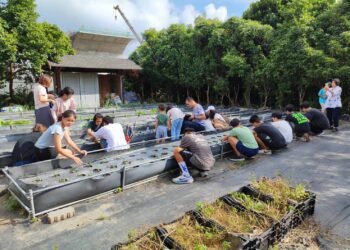 中市梅子社區戶外田園解說體驗活動-帶領民眾悠遊田園之美