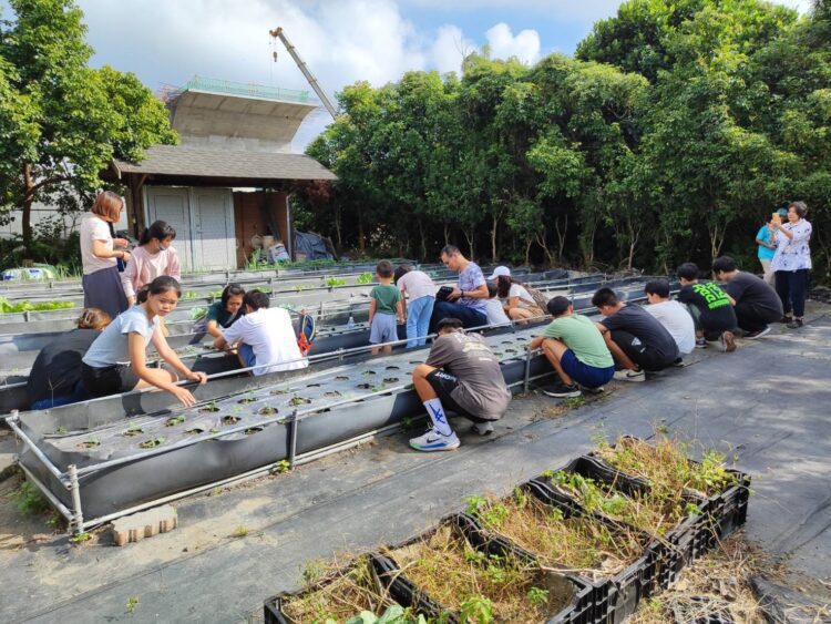 中市梅子社區戶外田園解說體驗活動-帶領民眾悠遊田園之美