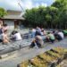 中市梅子社區戶外田園解說體驗活動-帶領民眾悠遊田園之美