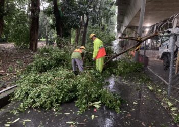 康芮颱風災後-中市清潔隊全員出動-加速恢復市容