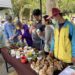 沙鹿鎮立公園場限定!-台中市民野餐日11/3邀您來環保特色攤位