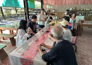 大雪山休閒農場邀民眾共創森呼吸新體驗-中市農業局：體驗大自然療癒力！