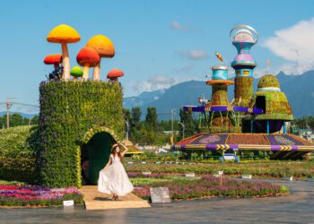 新社花海暨台中國際花毯節繽紛開幕-攝影師不藏私取景大公開！