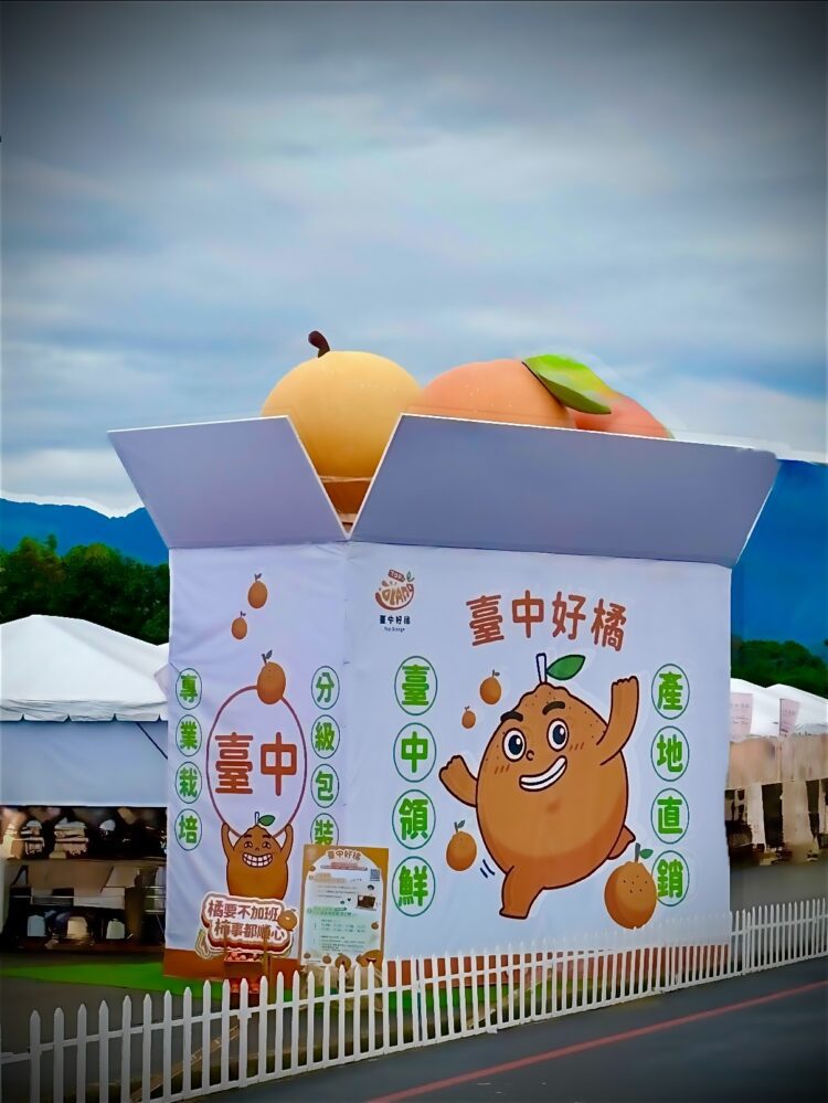 新社花海中遇見「台中好橘」-地景裝置藝術成秋日最萌打卡點