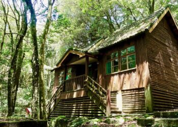 從巷弄美食到山林美景-台灣好行套票帶你超值遊台中