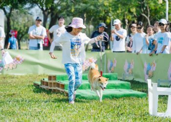 毛孩「野」要一起chill！台中市民野餐日「中央公園」變身寵物派對樂園！