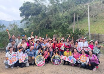 新社秀繽紛-森之心饗宴！-中市農業局邀你共賞秋日花海之美