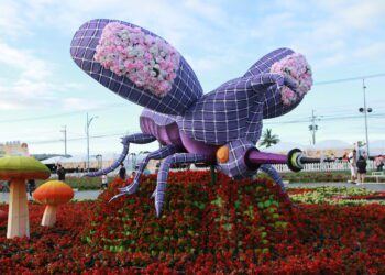 放慢步調多留一晚！-中市觀旅局邀請您深度體驗新社質樸之美