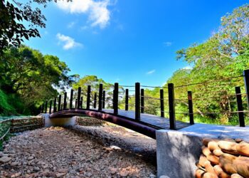 中市步道災後升級-潭子新田登山步道、大肚瑞井登山步道使用更安心