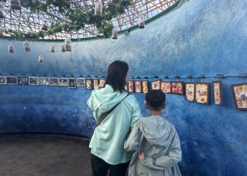 最暖心展示空間！-台中國際花毯節「共創基地」吸引長者、幼童手作共創回憶