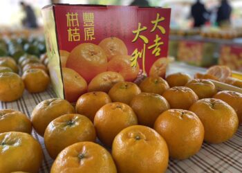 中市優質椪柑果品評鑑結果出爐- 豐原區李定富勇奪今年度椪柑王！