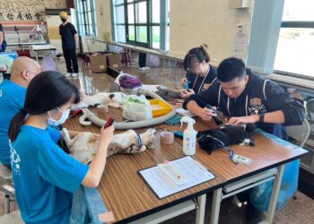 中市偏區犬貓絕育活動圓滿結束- 公私協力守護毛小孩