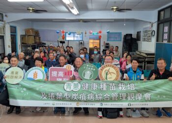 防治青蔥捲葉型炭疽病-中市偕農業改良場建構青蔥健康種苗生產體系