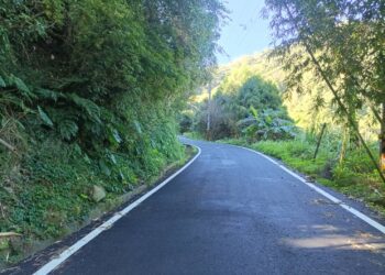 中市水利局修繕農路-促進新社地區咖啡豆產業發展