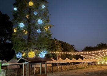 中市府推聖誕佳節輕旅行！搭觀光公車邂逅浪漫美景