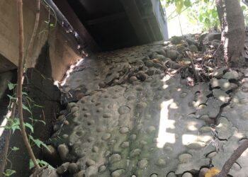 烏日知高圳步道橋梁整修-明年春節前開放通行