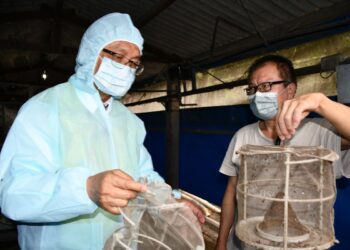 影音/毒蛋事件引發社會高度不安 林世賢推「無毒農業 × 健康蛋認證」政策