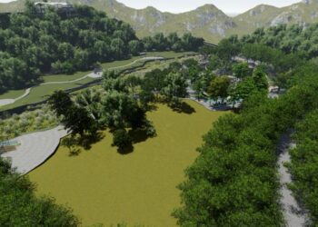 大樹依舊留存綠意!-鰲峰山谷溜遊戲場為「清水生活圈」注入新活力