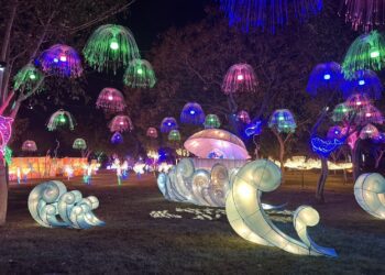 中市教育局2/10攜手電台call-in搶答　贈送「甜甜蛇」小提燈及「藍鵲」小提袋