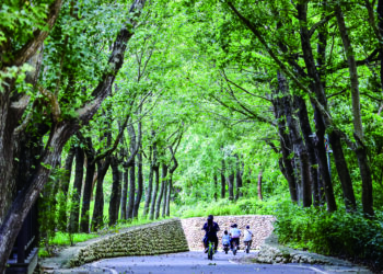 「蛇麼都好玩」！-推薦搭台灣好行、觀光公車暢遊台中迎新年