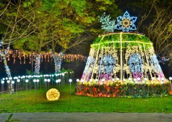 璀璨浪漫山城「最靚」景點走春去！-台中石岡花漾藝術燈節展至2/12