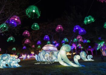 收穫甜蜜蛇年回憶！-中市觀旅局推出新春山海屯遊程指南