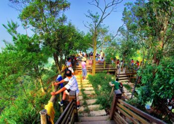 訂房率六都第一！中市各人氣景點穩居春節旅遊首選