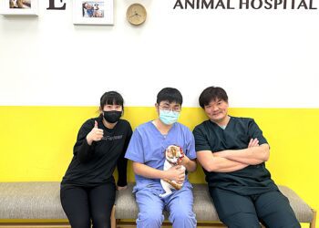 助飼主與毛孩安心過年！-中市動保處春節不打烊任務圓滿完成