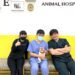 助飼主與毛孩安心過年！-中市動保處春節不打烊任務圓滿完成