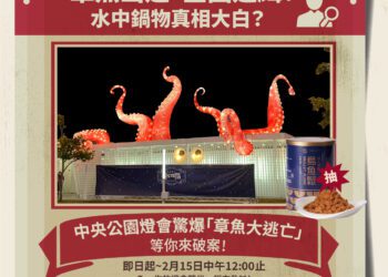 「章魚大逃亡」全國通緝！水中鍋物燈組離奇失蹤-真相即將揭曉