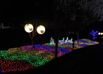 魔樹之眼驚見「章魚大逃亡」竟嚇出n種髮型！-中市農業局：邀請民眾親自一探究竟