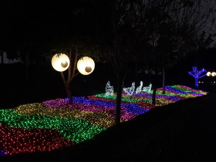 魔樹之眼驚見「章魚大逃亡」竟嚇出n種髮型!-中市農業局:邀請民眾親自一探究竟